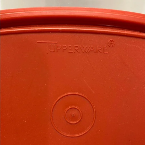 Tupperware Pickle Storage Container / Keeper - Picture 5 of 6